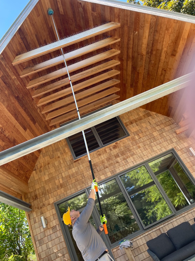 Spider Squad licensed technician removing spider nests and webs from eaves in Niagara